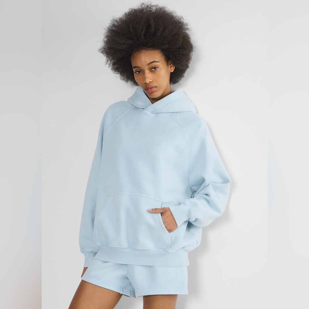 Aritzia Light Blue Hoodie (NWOT)